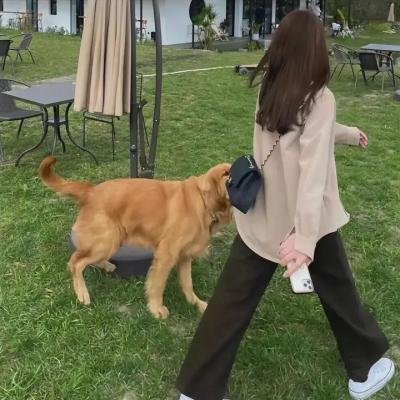 谤法：在此矣